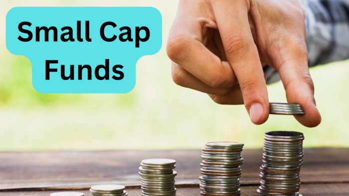 Small Cap Funds seen continuous inflow in September 2023 expert suggests who should invest and why good time to invest