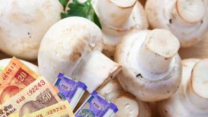 Success Story young farmers start mushroom farming with bank loan establish rs 1 crore business