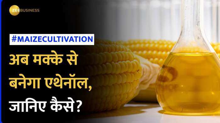 Maize Cultivation: जानिये कैसे मक्के से एथेनॉल की खेती होगी किसानों के लिए फायदेमंद?