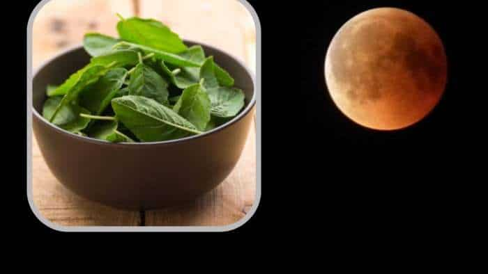 Lunar Eclipse 2023 in India chandra grahan time and sutak kaal know the reason why are sutak kaal inauspicious and tulsi leaves added to food during sutak