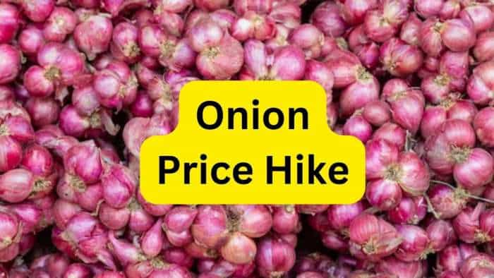 Onion Price Hike news Centre steps up sale of subsidised onions at Rs 25 per kg amid price rise