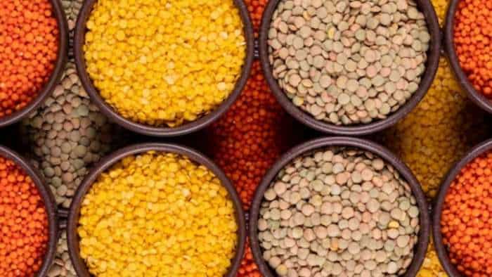 lentils cultivation farming is beneficial for farmers check details masoor ki kheti