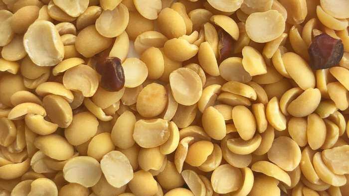 India requests Mozambique to expeditiously clear tur dal consignments at ports