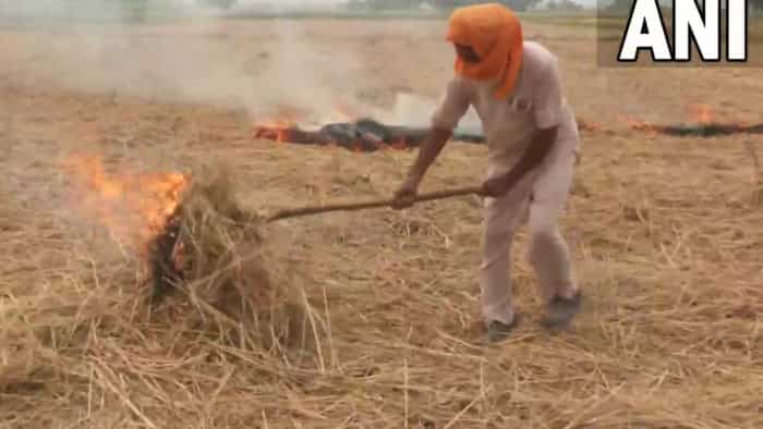 Bihar government strict to farmers paddy will not be purchased from farmers for burning stubble