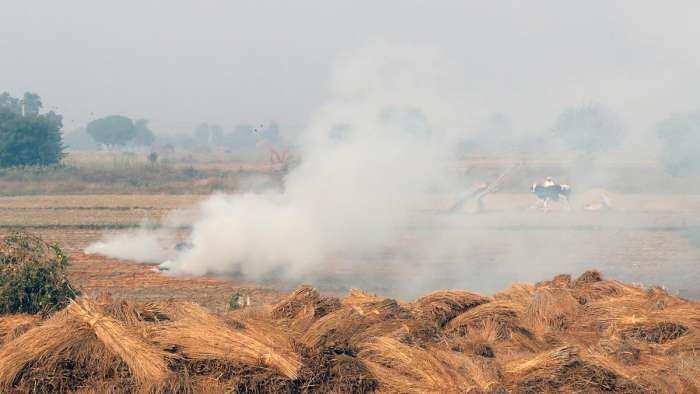 Stubble Burning incidents in Haryana Punjab UP Rajasthan and Delhi comes down to 6391 in the last 45 days