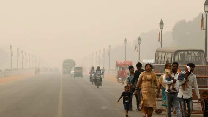 Delhi NCR chokes as Anand Vihar records 448 AQI air quality remains in severe condition