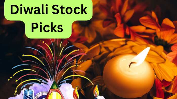 Diwali Top Picks 2023 Prabhudas Lilladher technical pick investors can get high return till next Diwali 