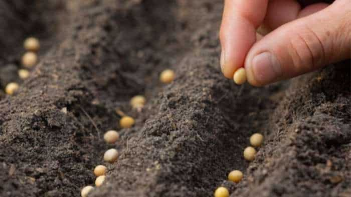 seed production business to double farmers income