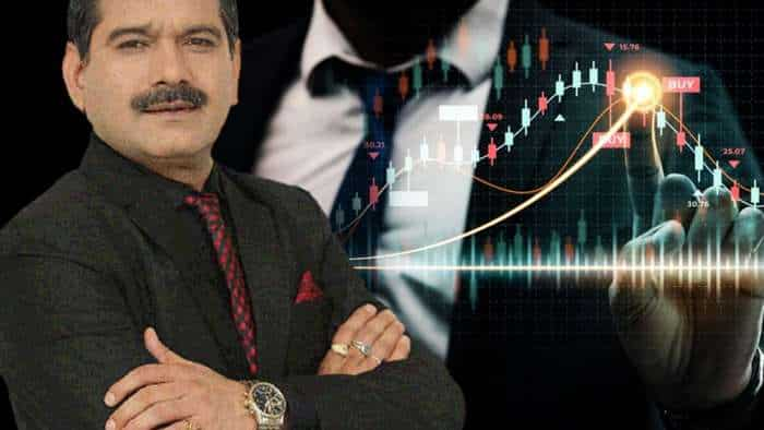 Anil Singhvi Diwali Pick, know which shares may give you high return