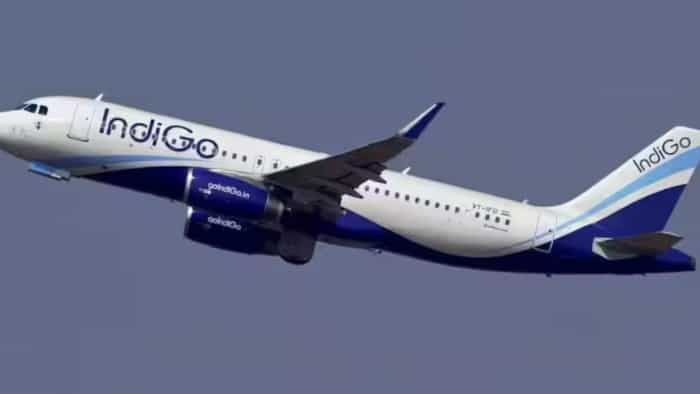 Court Asks IndiGo to Pay Rs 70,000 to Bengaluru Couple luggage not loaded holiday ruined