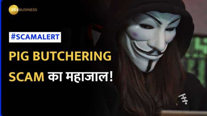 Pig Butchering Scam क्या है: इससे कैसे बचें ? Zerodha के Nithin Kamath ने क्यों किया सतर्क