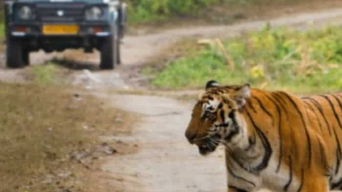 Jim Corbett National ParK travel package check here hotel, safari and food price