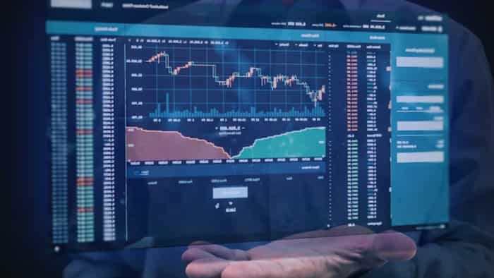 FIIs not investing in midcap shares since august mid cap and small cap stocks flat large cap shares in demand