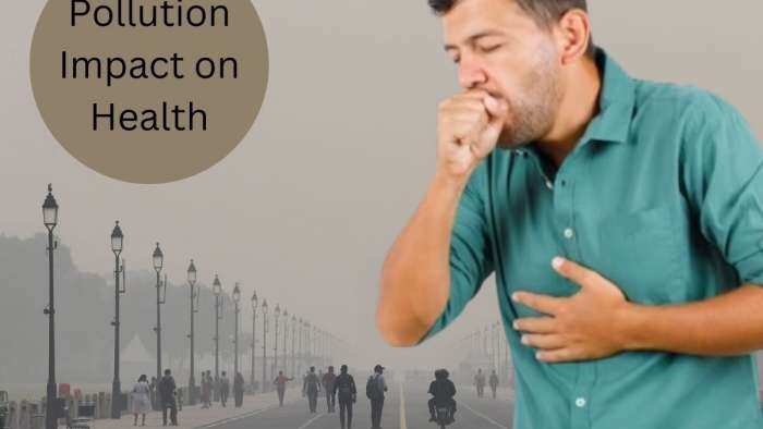 Pollution in Delhi impacts on body respiratory health heart brain kidney and liver How to Protect from Pollution Side Effects 7 key tests you must consider