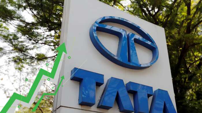 Tata Technologies IPO Share double Investors wealth check Tata Group share list for investment 