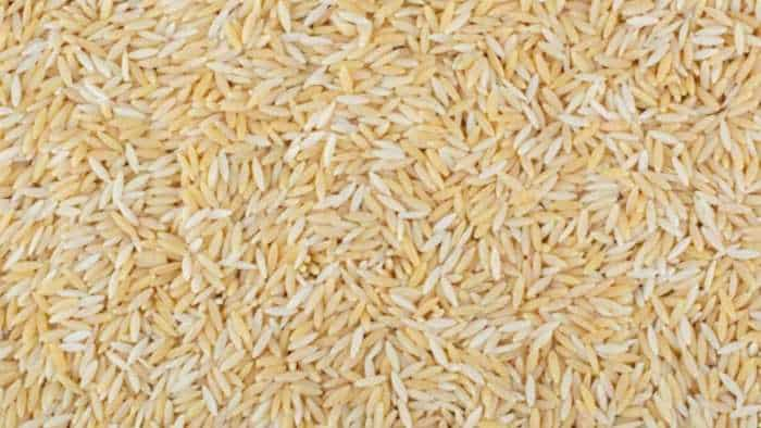 Government permits NCEL to export 9 lakh tonnes rice and 35000 tonnes wheat products