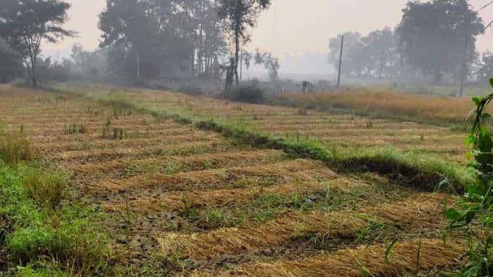 Jharkhand govt to provide rs 117 per quintal more to farmers over msp for paddy crops
