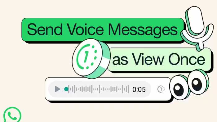 WhatsApp rolled out view once feature for voice note here know how it works