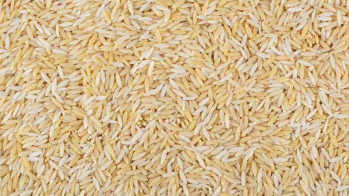 Centre revises Wheat stock limits for Traders Wholesalers Retailers Big Chain Retailers and Processors