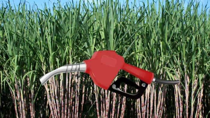 ban on use of sugarcane juice in ethanol production a temporary step government