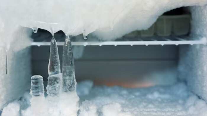 How To Prevent Ice Build-up In Your Refrigerator and Freezer here are some easy tips