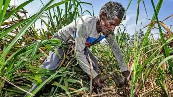 Government Gives nod to use of sugarcane juice and b molasses for making ethanol