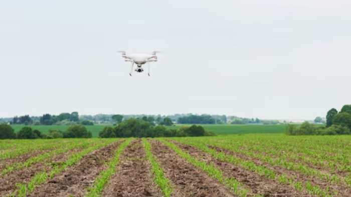 iffco giving free drone pilot training to women check details