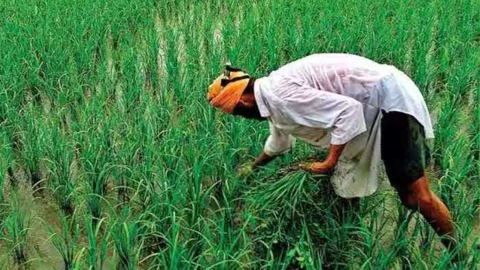 climate change hits agriculture sector Worrying decline in growth rate of agri sector