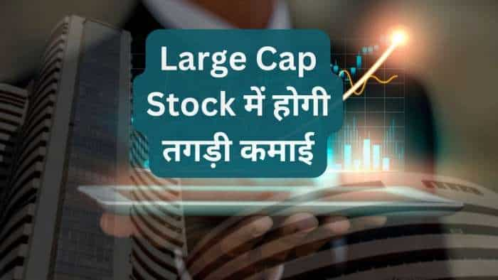 Stocks to buy Zomato targets for 2024 this large cap stock gives 100 pc return in 2023 