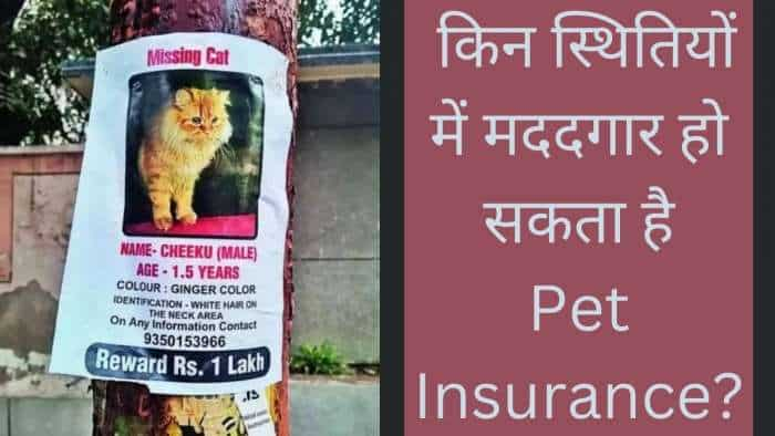 Can a report be filed in police station if a pet goes missing in what situations can pet insurance be helpful every animal lovers should know these information