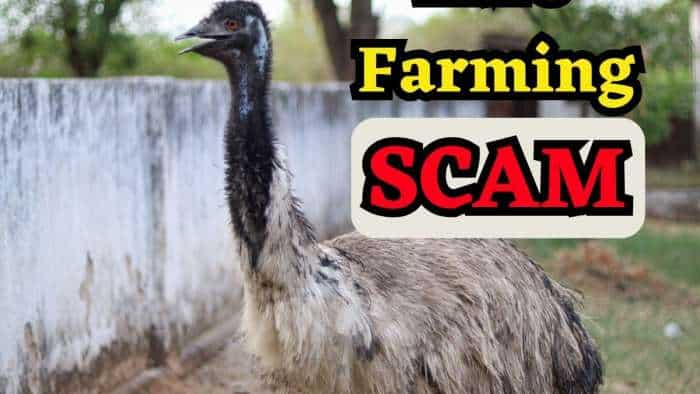 EMU Farming Scam: How this second tallest bird left the people empty handed, thousands of people lost crores of rupees