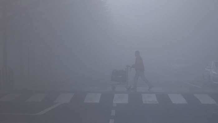 Delhi Weather Update Dense fog and cold wave to continue for 5 days says IMD check details