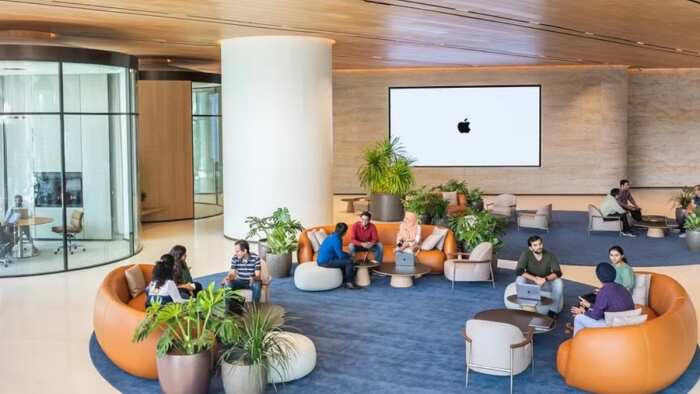 Apple Opens New Office in Bengaluru third store plan to open 15 Store in Bengaluru 1200 Employees will hire