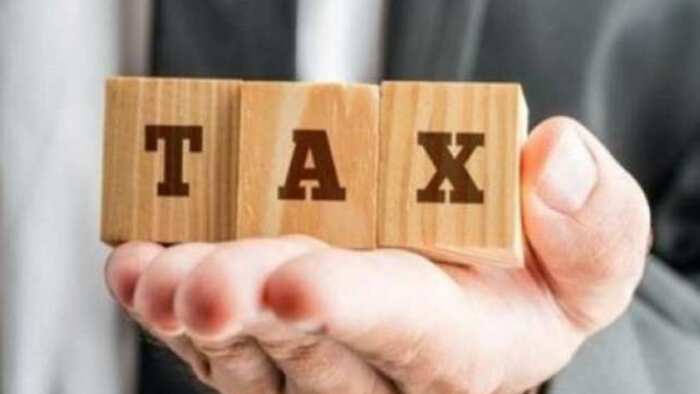 budget 2024 latest update tax collection rises may increase hope of expenses in social policies in budget