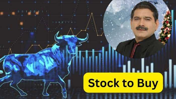 Pidilite Futures Market Guru Anil Singhvi recommends BUY in this stocks after Q3 check SL targets triggers