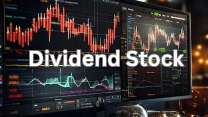 dividend stock Accelya Solutions declares an interim dividend of Rs 25 per share check record date