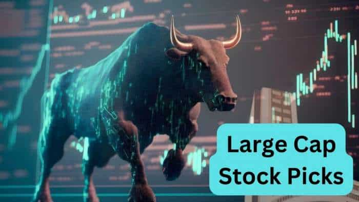 Stocks to buy Antique top 7 large cap stock picks after Budget investors can get up to 36 pc return check targets 