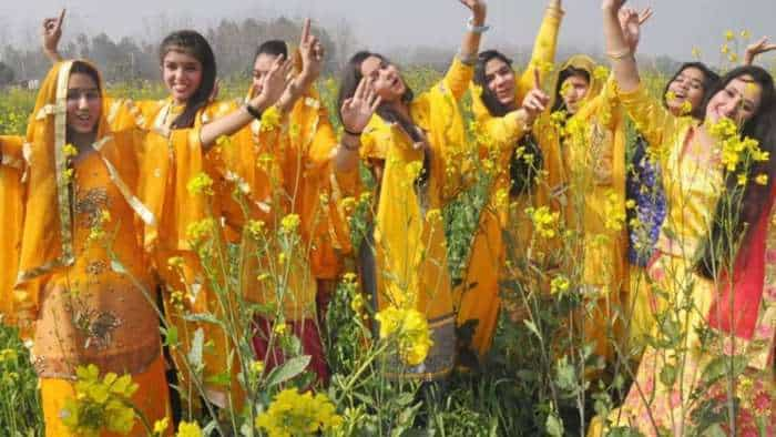 Basant Panchami 2024 Yellow Colour Significance Importance on saraswati puja vasant pachami know the reason