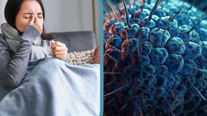 Influenza flu viral fever normal cold H3N2 H1N1 cause symptoms risk factors precautions treatment and other details