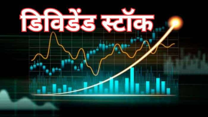 Dividend Stocks Schaeffler India Results net profit down announces rs 1300 percent dividend to shareholders