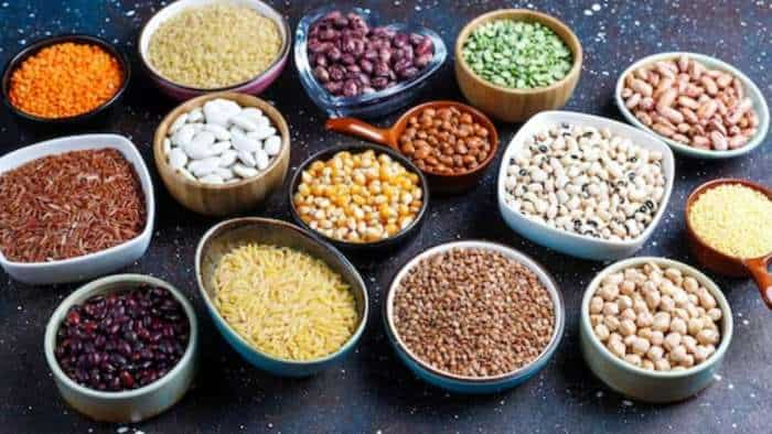 registration for purchase of chana gram masoor and mustard in madhya pradesh know details