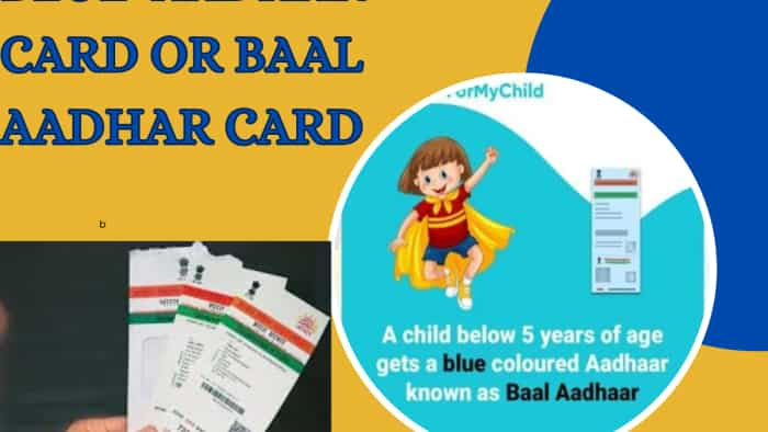 what is blue aadhaar card check here process to apply see document details