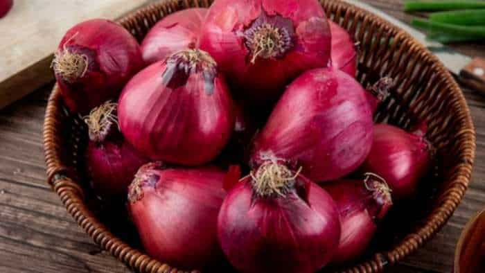 Onion export ban to continue till March 31 Government