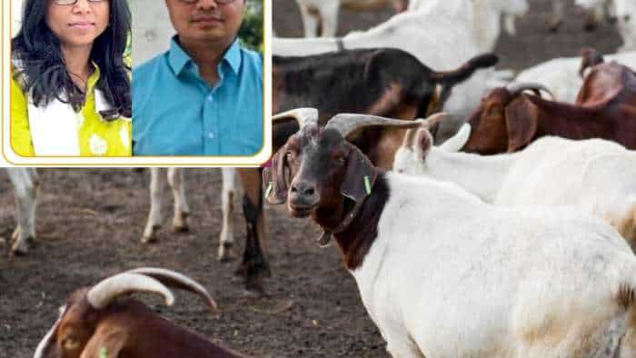 goat bank mann ki baat pm narendra modi goat rearing goat farming kalahandi odisha couple