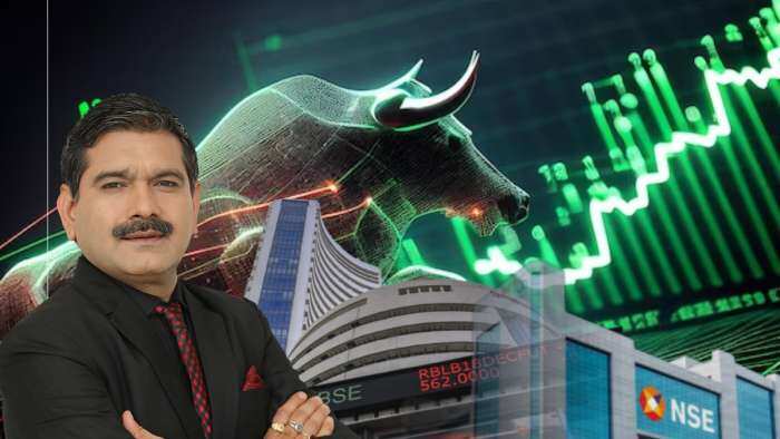 Market Guru Anil Singhvi bullish on TCS Fut and Havells Fut with BUY rating check targets, stoploss 