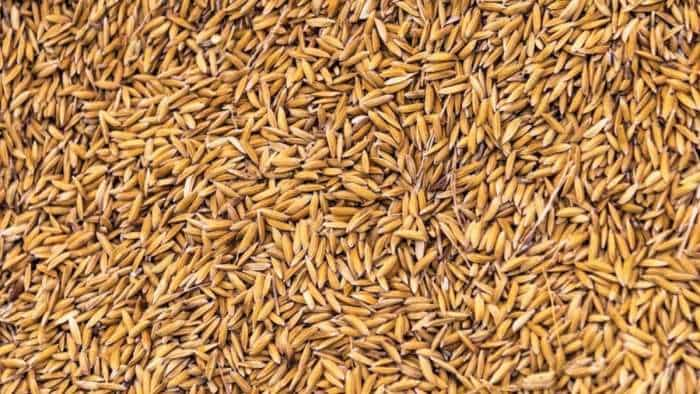 Govt lifts export ban on rice husk DORB SEA