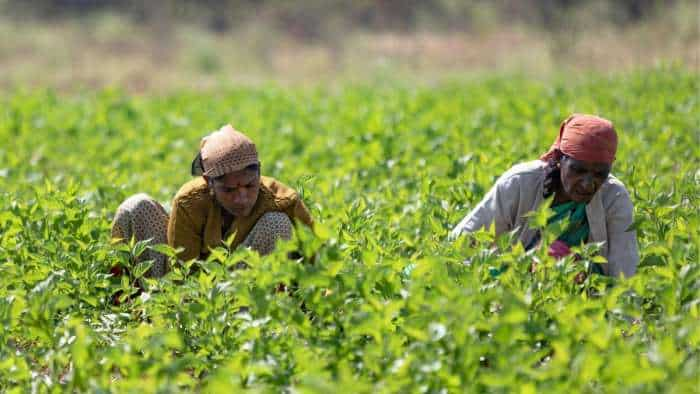 Uttar Pradesh CM Yogi Adityanath announces compensation for farmers who lost crops to heavy rain 