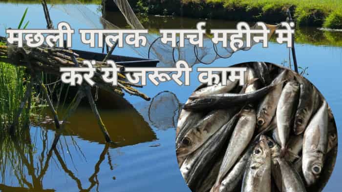 fish farming government has issued advisory do these important things in the month of March