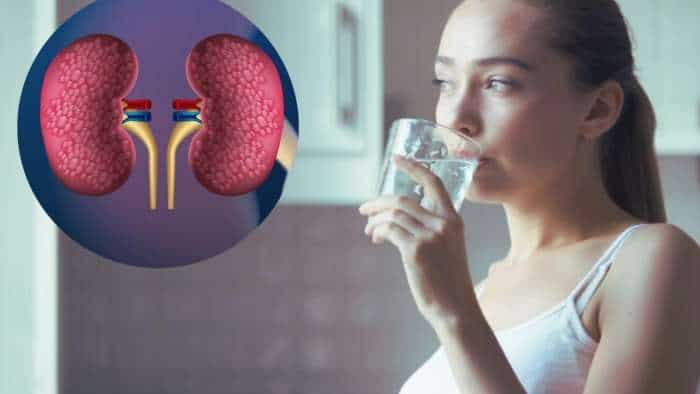 World Kidney Day 2024 Date History Significance Why water is important for kidney health how much water should be drunk disadvantages of dehydration and overhydration