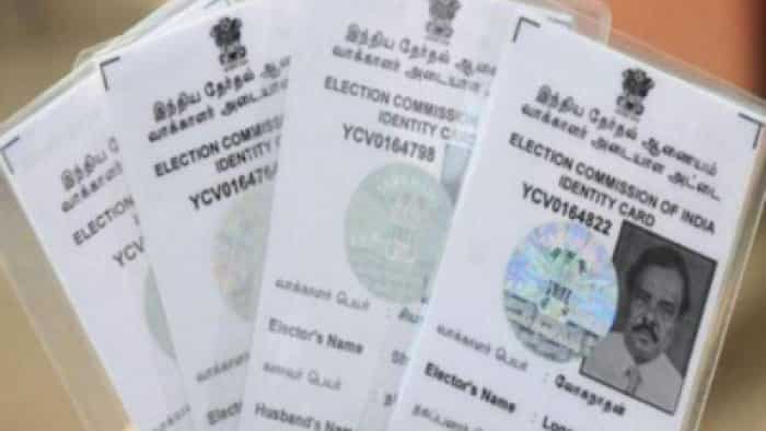 Lok Sabha Elections 2024 You can cast your vote using these documents without Voter ID card